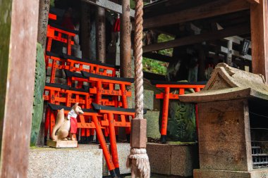 Yosun tutmuş yosunlu taşa yaslanmış minyatür torii yığınları, örülmüş bir çan halatı asılı ve bir tilki heykeli Kyoto 'daki Fushimi Inari Taisha, yumuşak yağmur sonrası ışık altında oturuyor..