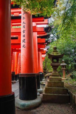 Kyoto 'daki Fushimi Inari Tapınağı' ndaki Senbon Torii 'ye kadar uzanan siyah üsleri olan Vermilion torii. Yosunlu taş fenerler gün ışığında bir orman yolu çiziyor, sakin bir yürüyüşe davet ediyor..