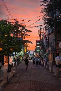 Japonya 'nın Nara kentindeki bir yaya caddesinde alacakaranlıkta dükkanlar ve restoranlar, neon ve fener işaretleri, elektrik hatları ve sıcak pembe turuncu ışık altında gezinen yerli ve turistler görülüyor..