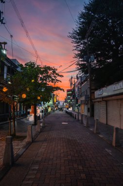 Karanlık çöktüğünde Nara 'da dar bir yaya caddesinde kapalı metal kepenkler, sıcak kağıt fenerler, büyük bir sedir, elektrik hatları, kaldırım taşları, kalınlar ve ahşap cepheler görülüyor..