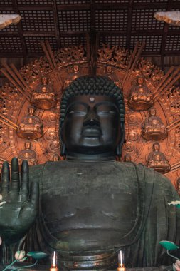 Muazzam bronz Buda çerçeveyi Todai ji, Nara 'da doldurur. Sağ el Abhaya Mudra 'da, kapalı gözler, yaldızlı küçük Buda halesi, sıcak kapalı tapınak ışığı.