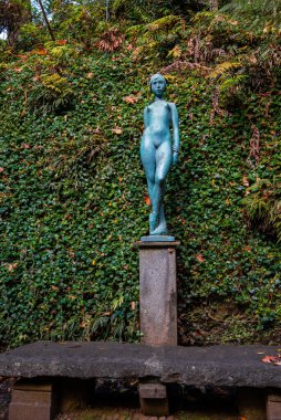 Sarmaşık yakınlarındaki taş bir kaidede çıplak bir deniz mavisi duruyor ve eğreltiotu, Funchal, Madeira 'daki Jardim Monte Sarayı' nda, kırsal taştan bir bankta, yumuşak yayılmış gün ışığında..