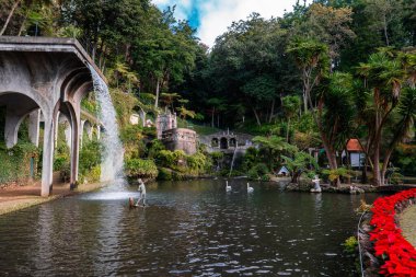 Funchal Madeira 'daki Teraslı Monte Sarayı Tropikal Bahçesi gölete dökülen su kemerlerini, süzülen kuğuları, heykelleri, adaları ve noktalı yerleri gösteriyor..