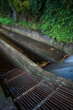 Funchal, Madeira yakınlarında bir taş sulama levadası kayalık bir sarmaşık setinin yanında uzanıyor. Rutubetli yapraklar toplandıkça sığ su metal ızgaraların ve tırtıklı bariyerlerin üzerinden geçiyor..
