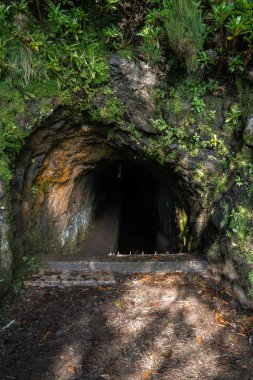 Yosunlu bir kaya yüzeyi, Funchal, Madeira yakınlarında levada kanalı ve patikası olan bir tünele açılıyor. Eğreltiotları nemli taşa tutunurken, gün ışığının turuncu yosunu vurguluyor..