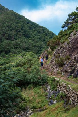 Küçük bir grup Funchal, Madeira yakınlarında kayalık bir patikada alçak bir taş duvarla yürüyüş yapar. Yoğun defne ve eğreltiotu çizgisi yumuşak gün ışığı ve bulutların altında dik yeşil yamaçlar..