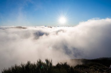 Portekiz 'in Madeira Adası' ndaki bulutlar denizi sabah güneşinin parlamasıyla doruğa ulaşır. Alçak alp çalıları ve Pico do Arieiro sırtları geniş açılı, arka ışıklandırmalı, yüksek dinamik aralıklarla görünür..