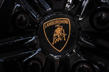 Yakından bakıldığında altın boğa ve Lamborghini 'nin parlak siyah bir tekerlek kapağında, fındıklı ve ıslak benekli yazıları görülüyor. Bu da garajdaki Orange Urus SE' de yıkandığını gösteriyor..