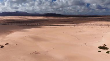 Hava manzarası altın kum tepeleri, turkuaz Atlantik sörfü, Corralejo kumulları, volkanik koniler, rüzgar türbinleri, yol ve arabalar, aylaklar, sarı cankurtaran direği, kayan bulut ışığı.