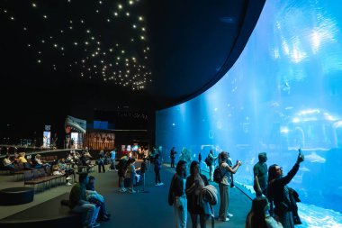 Her yaştan insan, Las Palmas, Gran Canaria 'daki Poema del Mar' daki loş bir salonda oturur ve köpekbalıkları, vatozlar ve balıklar süzülürken derin deniz penceresine bakar..