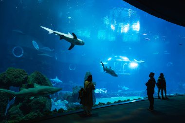 Ziyaretçiler, Gran Canaria akvaryumunda kayalık mercan formlarının yanından süzülen köpekbalığı ve balık sürülerini ve fütüristik sualtı kubbesini sinematik geniş açıdan görebilen bir su altı manzarasını izliyorlar..