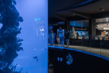 Ziyaretçiler, Gran Canaria 'daki loş galeri ışığı altındaki bir akvaryumda, mercan ve küçük balıklarla parıldayan silindirik bir akvaryumun yanında kavisli camlar boyunca yürürler..