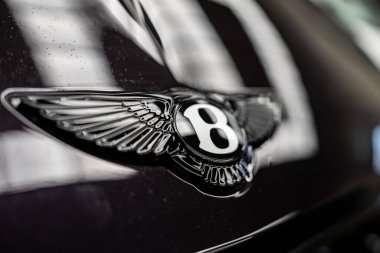 Yakından bakınca, Bentley 'in B kanatlı amblemini su damlacıkları, yumuşak yansımalar ve kapalı oturum sırasında karamsar ışıklandırma ile siyah bir kaput üzerinde gösteriyor..