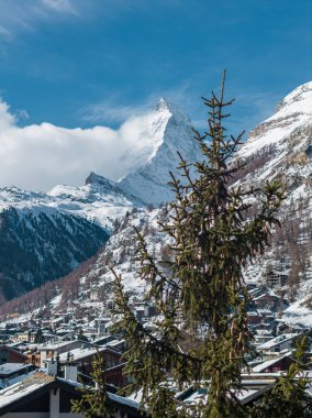 Zermatt, Switzerland sits in a snowy valley as the Matterhorn rises, summit in cloud. A cone laden evergreen frames chalet rooftops under bright midday light and blue sky.