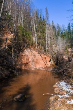 Letonya 'daki dik kırmızı kumtaşının altında, üzerinde huş ağacı ve çam ağaçları olan dar kahverengi bir nehir esiyor. Alçak kış güneşi ve yamalı kar çıtır tezat ve serin gölgeler ekler ekler..
