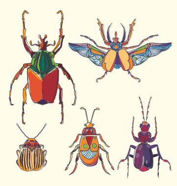 Hand drawn multicolor beetles set. Can be used for for postcard,