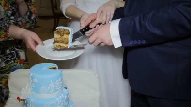 A noiva e o noivo cortaram o bolo de casamento — Vídeo de Stock