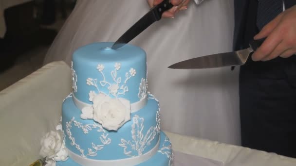 La novia y el novio cortaron el pastel de bodas — Vídeos de Stock