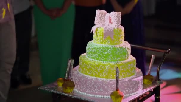 The bride and groom cut the wedding cake — Stock Video