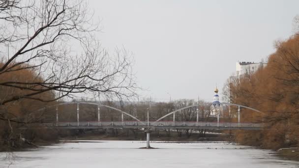 Most do parku miejskiego z wiosna — Wideo stockowe