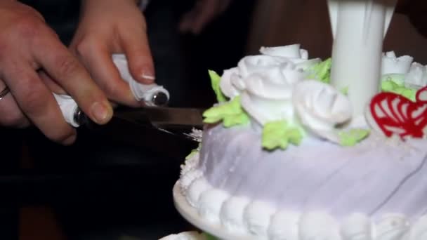 La pareja cortó el pastel de bodas — Vídeos de Stock