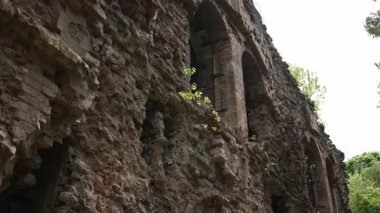 Antik tuğla ve taş duvarlar küçük bitkilerle kaplı, tarihi mimari kalıntılar orman bölgesinde, eski duvarların dokusu yüzyıllar süren bozulma ve doğal restorasyon sürecini gösteriyor..