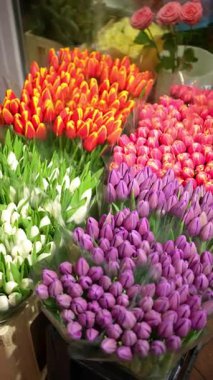 Çiçekçide sergilenen renkli lale buketleri canlı bahar çiçekleri sergiliyor..