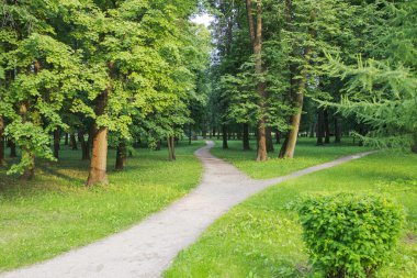 Parktaki patika