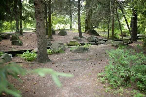 Pedras na floresta — Fotografia de Stock