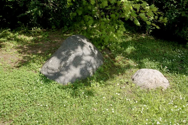 숲 속의 돌들 — 스톡 사진