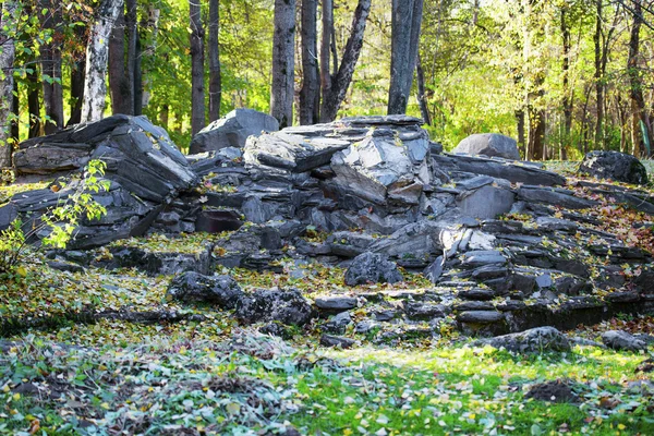 Pedra na floresta — Fotografia de Stock