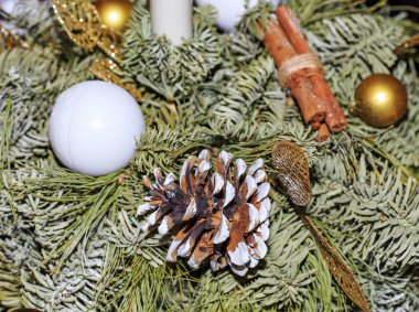 Kış ağaç dalı karla kaplı