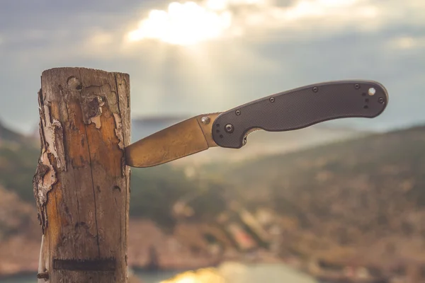 Cuchillo Empuje en un tronco de madera — Foto de Stock