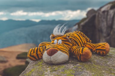 Stuffed Tiger Toy in Nature clipart