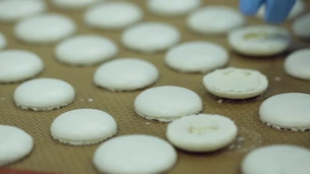 Cooking white macaroons — Stock Video