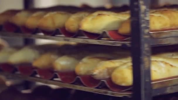Schappen van vers knapperig brood in de bakkerij — Stockvideo