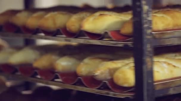 パン屋の新鮮なサクサクしたパンの棚 — ストック動画