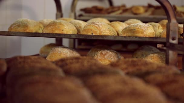 Estantes con pan crujiente fresco en la panadería — Vídeos de Stock