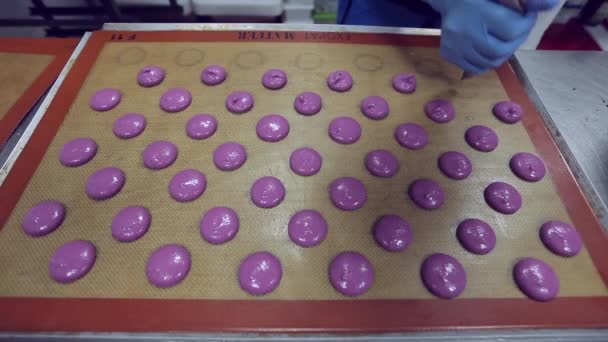 Cozinhar muitos macaroons roxos — Vídeo de Stock