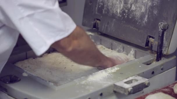 Preparing dough process and making buns out of it — Stock Video