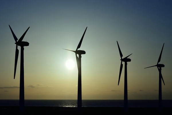 日出时的风力涡轮机 — 图库照片