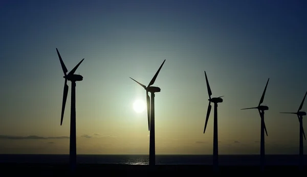 日出时的风力涡轮机 — 图库照片