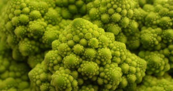 Romanesco broccoli cabbage close-up rotating texture. — ストック動画