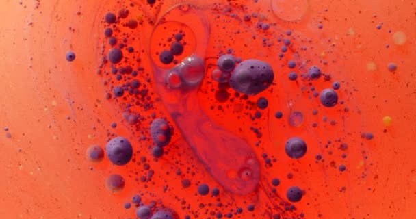 色彩斑斓的油漆在油的抽象纹理中起泡.丙烯酸漆液艺术. — 图库视频影像