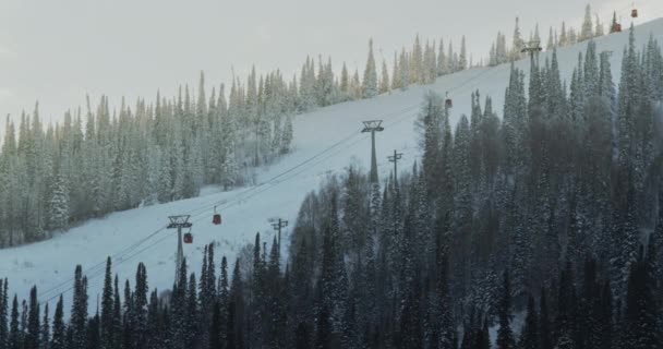Lift cabine într-o stațiune de schi de munte. Mișcarea ascensoarelor de schi într-o bucată de iarnă înzăpezită. Sheregesh, Rusia . — Videoclip de stoc