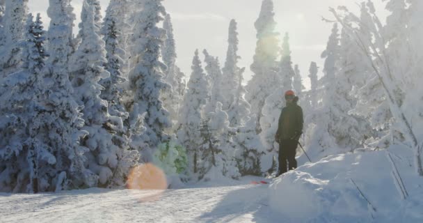 Профессиональный лыжник медленно движется в заснеженном горном лесу. Шерегеш, Россия. — стоковое видео