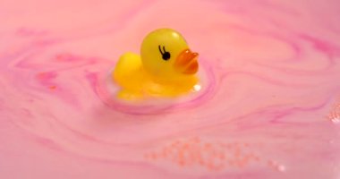 Şirin sarı ördek oyuncağı pembe renkli köpüklerle süzülüyor..