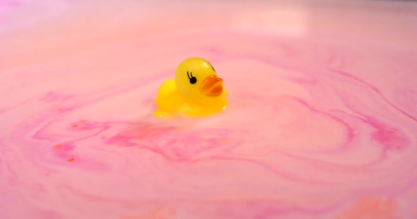 Lindo juguete de pato amarillo flota en un primer plano de espuma de color rosa. — Vídeo de stock
