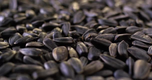 Vista da vicino dei semi di girasole neri fritti al rallentatore. — Video Stock