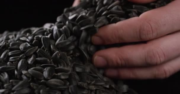 Close up view of man hands take sunflower seeds in slow motion. — Stock Video